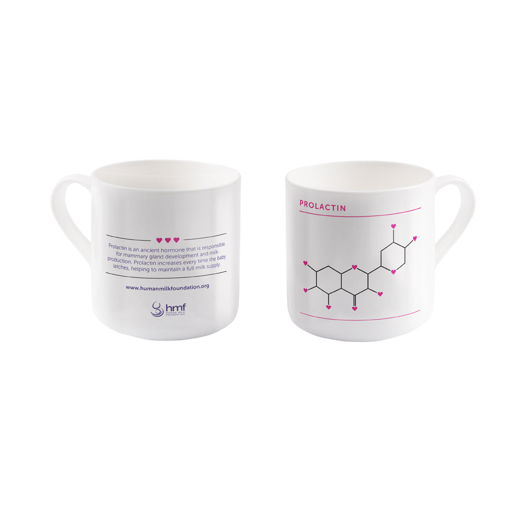 Prolactin DNA Structure Bone China Mug