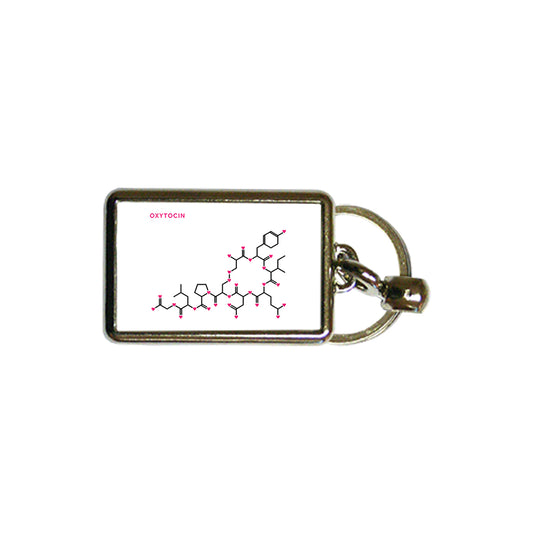 Oxytocin DNA Structure Metal Keyring