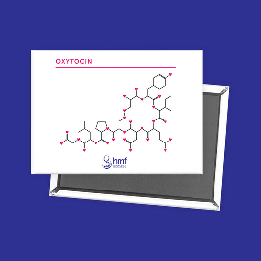 Oxytocin DNA Structure Ref Magnet