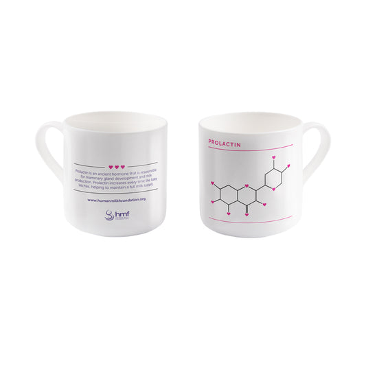 Prolactin DNA Structure Bone China Mug
