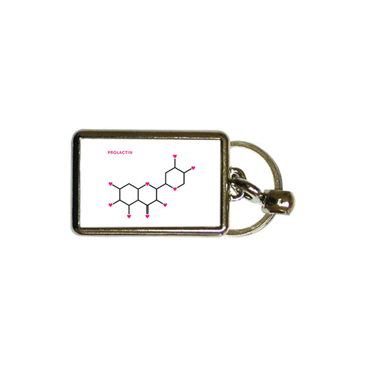 Prolactin DNA Structure Metal Keyring