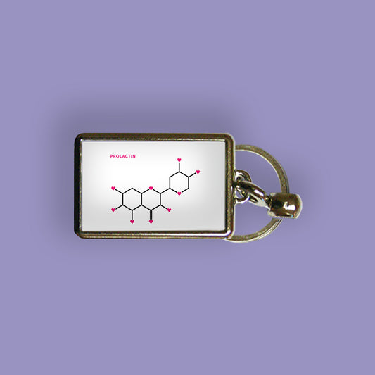 Prolactin DNA Structure Metal Keyring