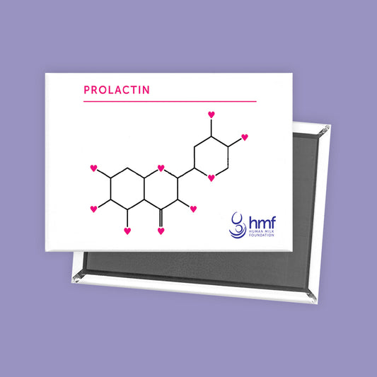 Prolactin DNA Structure Ref Magnet